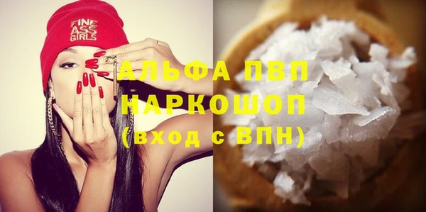 ГАЛЛЮЦИНОГЕННЫЕ ГРИБЫ Верея