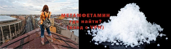 ГАЛЛЮЦИНОГЕННЫЕ ГРИБЫ Верея