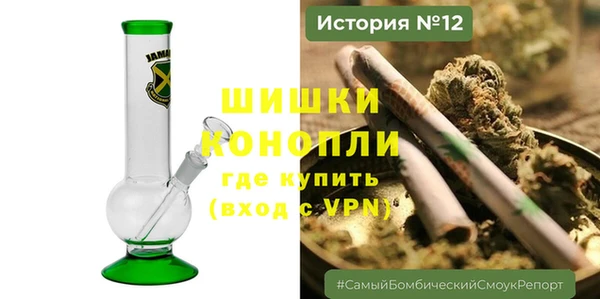 ГАЛЛЮЦИНОГЕННЫЕ ГРИБЫ Верея
