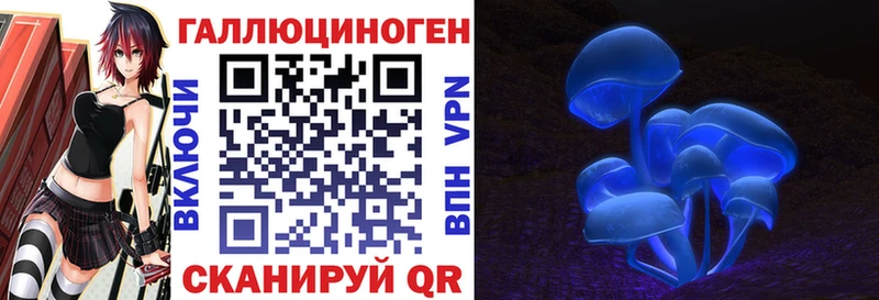 наркошоп  Альметьевск  Псилоцибиновые грибы MAGIC MUSHROOMS 